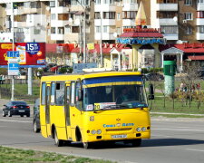 Потрапила в "м'ясорубку": поїздка в маршрутці перетворилася для киянки на пекло, моторошні кадри розправи