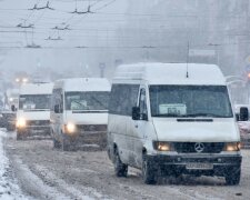 Харьковский маршрутчик повторил скандальный трюк Брагаря, - как заплатить за проезд собакой