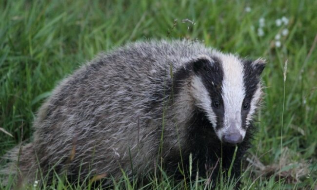 У Харківському зоопарку поселився бездомний Василь