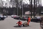 Скрін, відео YouTube