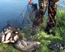 "Ученые" браконьєрствують в Одессе