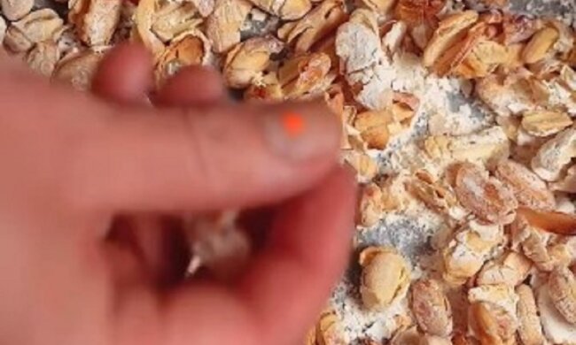 Фасоль, как чипсы. Фото: Instagram