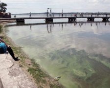 Смертельно опасная рыба появилась в украинской реке