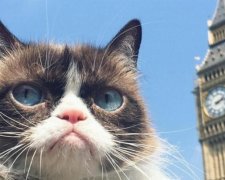 Grumpy Cat проведе автограф-сесію у Лондоні