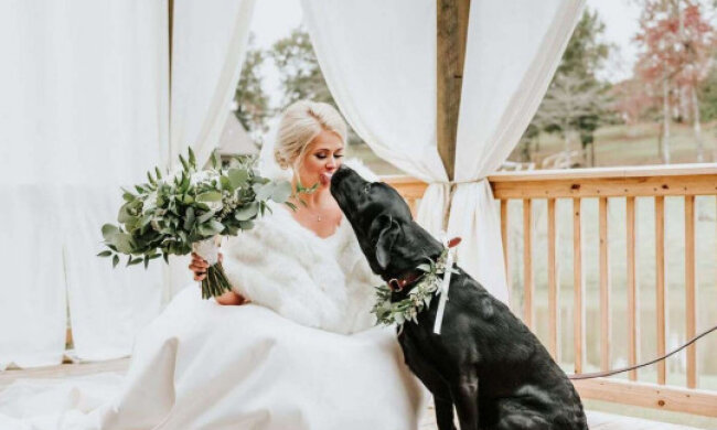 Фотосесія з собакою, Instagram