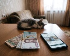 штраф кошенята гривні оголошення