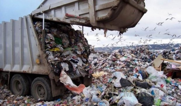 Садовой нашел очередной мусорник: отходы повезли в Черновцы