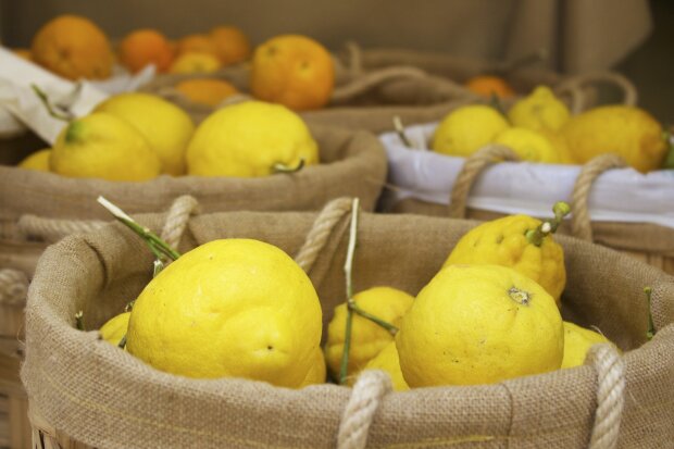 лимоны, фото Pxhere