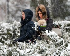 снегопад фото: reuters