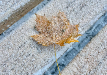 Погода, снег, фото из соцсетей