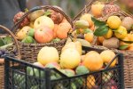 Осеніни 24 вересня: народні звичаї та прикмети