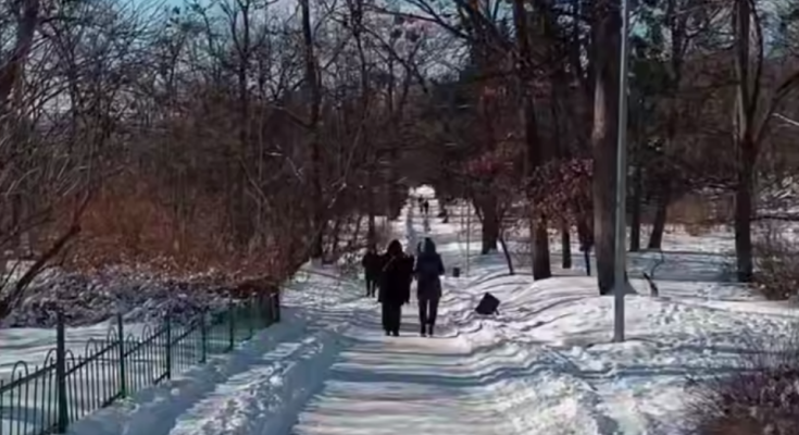 Украинцы, зима, кадр из видео