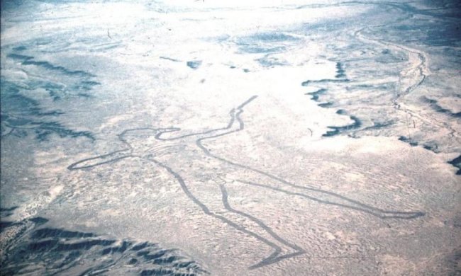 Миллионер озолотит того, кто раскроет тайну Человека Марри 