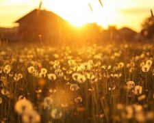 Одесситы открыли уникальные двери к солнцу