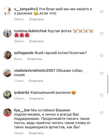 Комментарии / скриншот