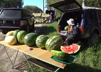 Скрин, видео YouTube арбуз