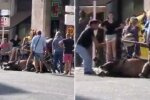 Деякі глядачі закликали Мануеля напоїти коня (Зображення SOLARPIX.COM)
