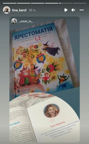Stories Тины Кароль, скриншот: Instagram