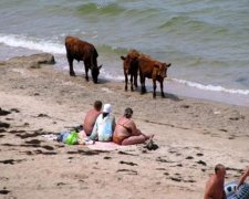 Аксьонов зізнався в нахабній брехні відпочиваючим