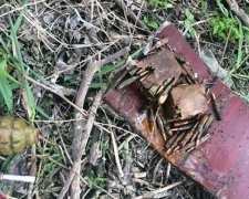 У Маріуполі на шкільному подвір’ї знайшли боєприпаси