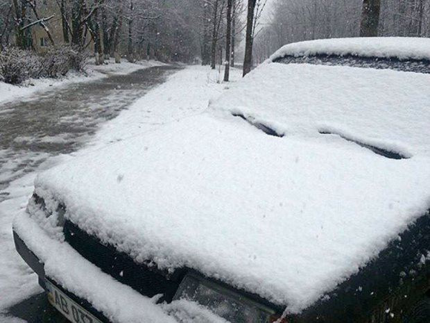 В Виннице выпал снег (фото)