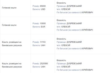 Декларація Олексія Дубревського / фото: скриншот Єдиного реєстру декларацій