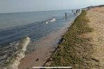 На курортах Запоріжжя відкрилися пляжі, але купатися не можна - жалять попець, як медузи