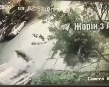 Скриншот с видео