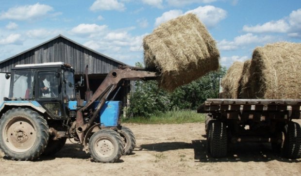 В Беларуси пенсионерка крала 200-килограммовые рулоны сена