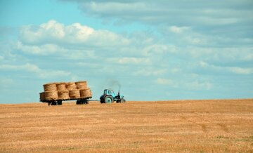 Бронювання аграріїв — які документи потрібні