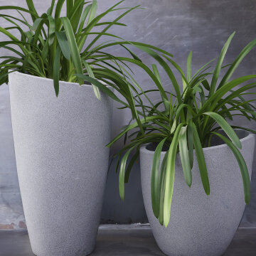 Вазоны. Фото rockside.ua