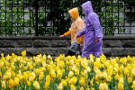 Погода у квітні, фото: Уніан