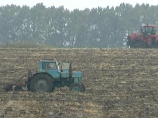 Рынок земли, фото: скриншот из видео