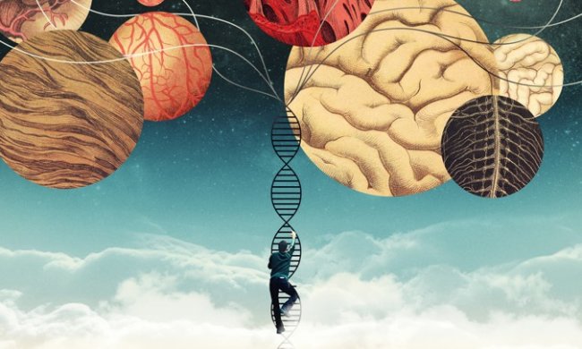 Тридцать безумных генов: ученые вычислили всех виновников страшного психоза