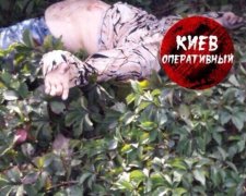 Поезд раздавил женщину в Киеве (фото)