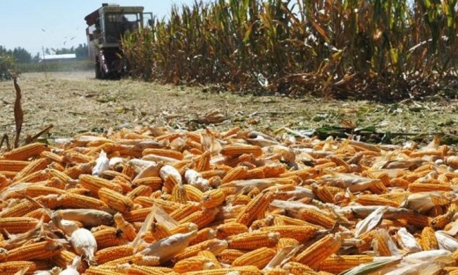 Україна допоможе Кенії з харчами