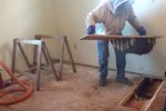 Жінка чула дивний гомін у підлозі, а виявилося, що вона живе в царстві небезпечних комах