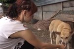 Акція «Чашка доброти» нагодує бездомних собак (відео)