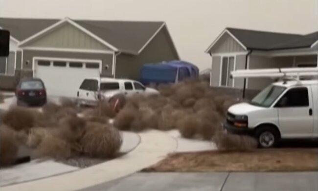 американські міста завалило перекоти-поле