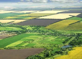 Земельна ділянка в Україні
