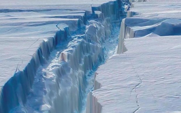Невідомі істоти тисячоліттями ховалися під айсбергом