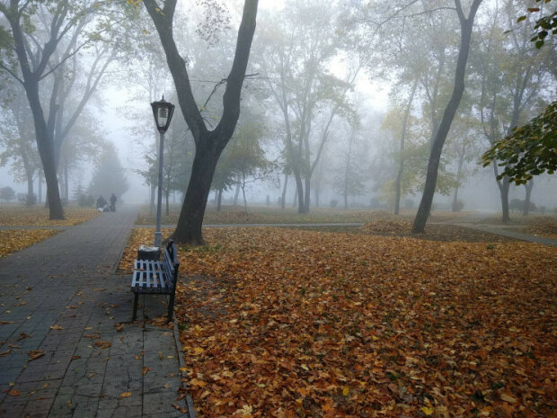 Запорожцы, включайте фары: густой туман накроет город 24 октября