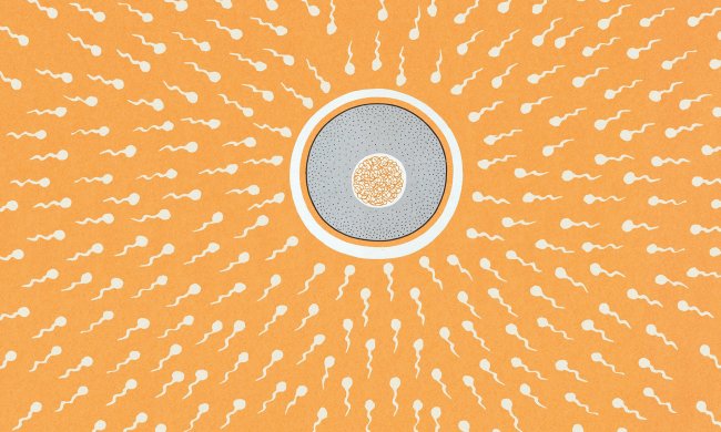 Врачи исцелили бесплодие холодом