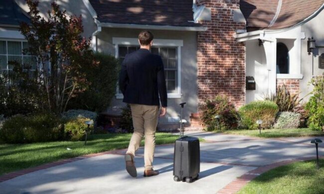 Валізу схрестили з собакою, і ось що вийшло