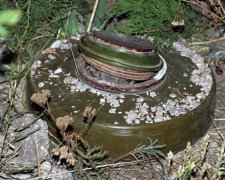 У маріупольському парку знайшли міни (фото)