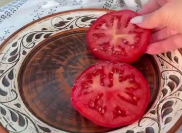 Закуска с сыром и помидорами, кадр из видео