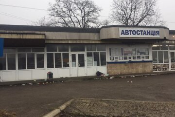 фото: Надежда Гибнер