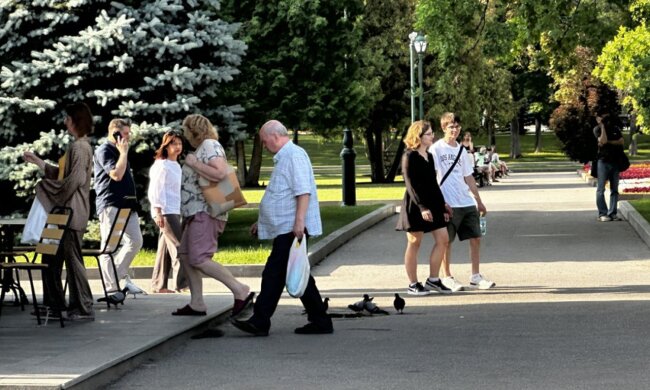 Налоговая социальная льгота 2026: деньги в руках