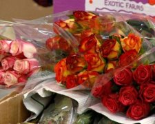 Росіяни перед 8 березня спалюють імпортні квіти