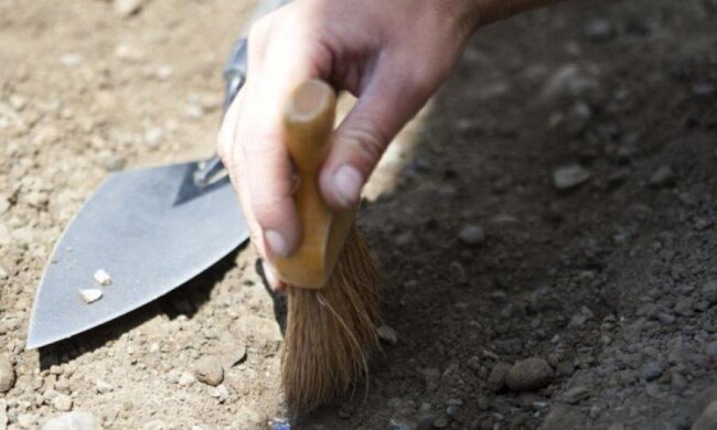 100 мільйонів років тому: вчені знайшли рештки стародавньої істоти